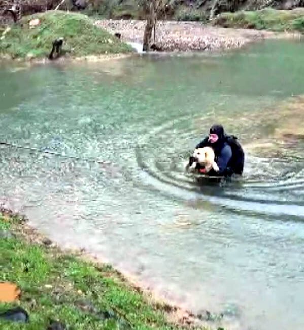 Ömer KOÇ/KAHRAMANMARAŞ, (DHA)- KAHRAMANMARAŞ’ta suyla çevrili bölgede mahsur kalan köpeği,