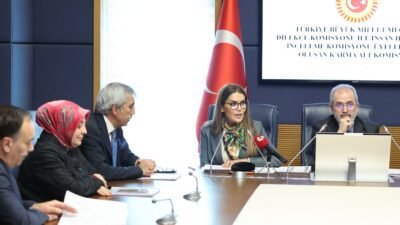 Aliekber METE/ ANKARA, (DHA)-TBMM Dilekçe Kurulu ile İnsan Hakları İnceleme