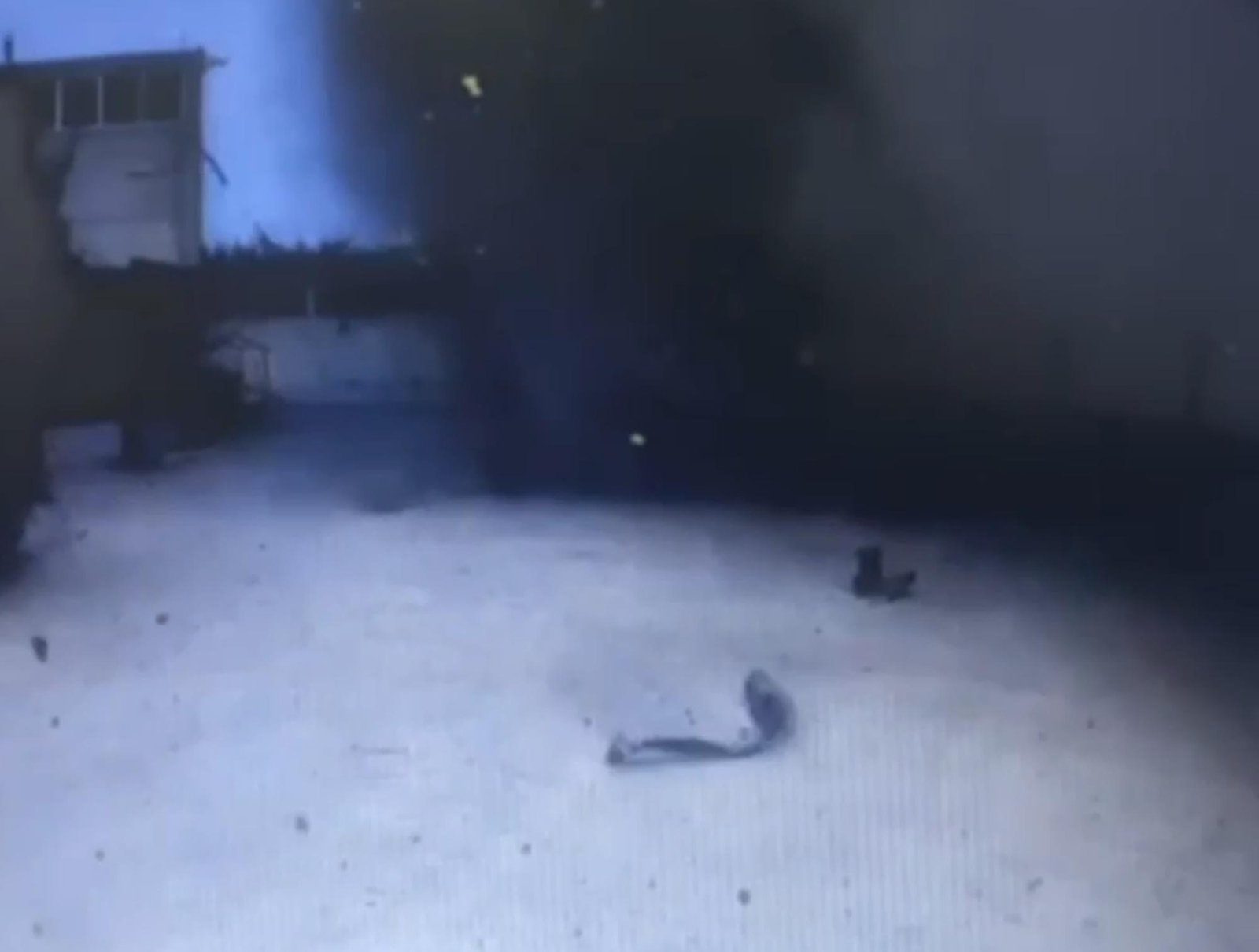 Tuna KARABEY/HAYRABOLU (Tekirdağ), (DHA)- TEKİRDAĞ'ın Hayrabolu ilçesinde kemik tozu ve