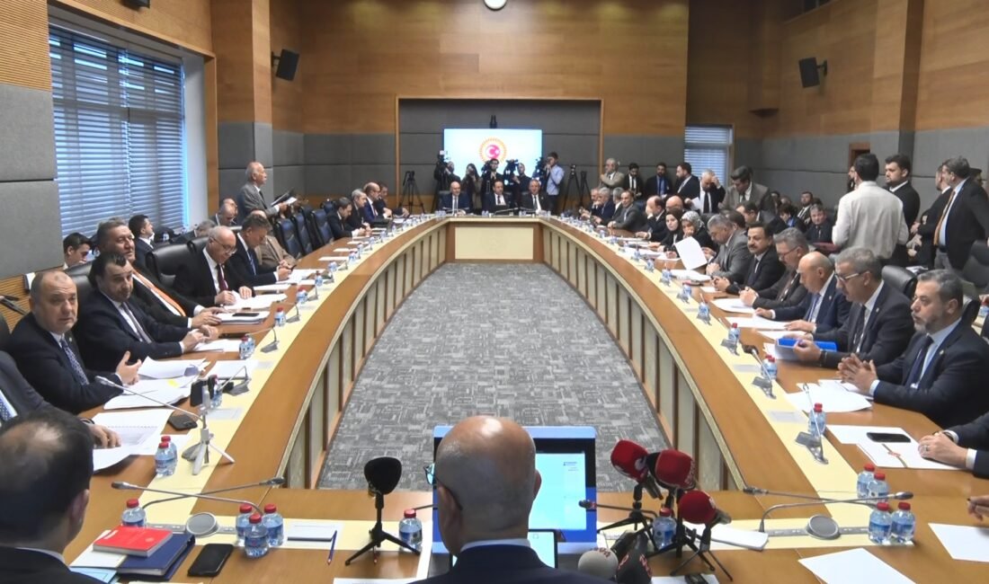 Aliekber METE-Muhammet BAYRAM/ANKARA, (DHA)- TBMM Tarım, Orman ve Köyişleri Komisyonu'nda,