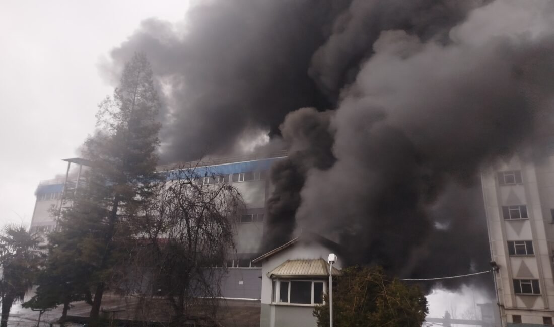 Selçuk BAŞAR/ARSİN (Trabzon), (DHA)- TRABZON’da Arsin ilçesinde bir fındık fabrikasında