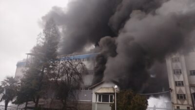 Selçuk BAŞAR/ARSİN (Trabzon), (DHA)- TRABZON’da Arsin ilçesinde bir fındık fabrikasında