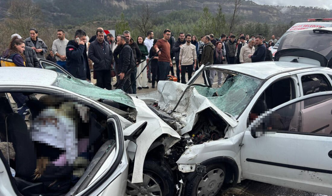 Tolga YILDIRIM/ANTALYA, (DHA)- TÜRKİYE'de bu yıl ocak-şubat aylarında 231 ölümlü,