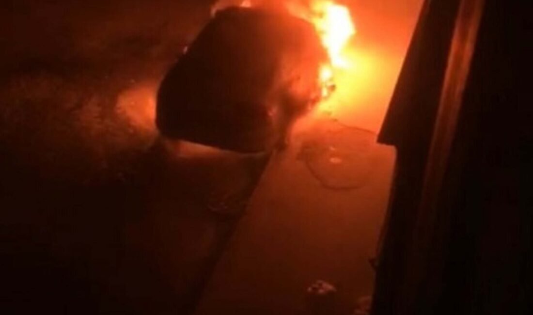 Tolga TAHÇI / İZMİR, (DHA)- İZMİR'in Dikili ilçesinde, trafik cezası