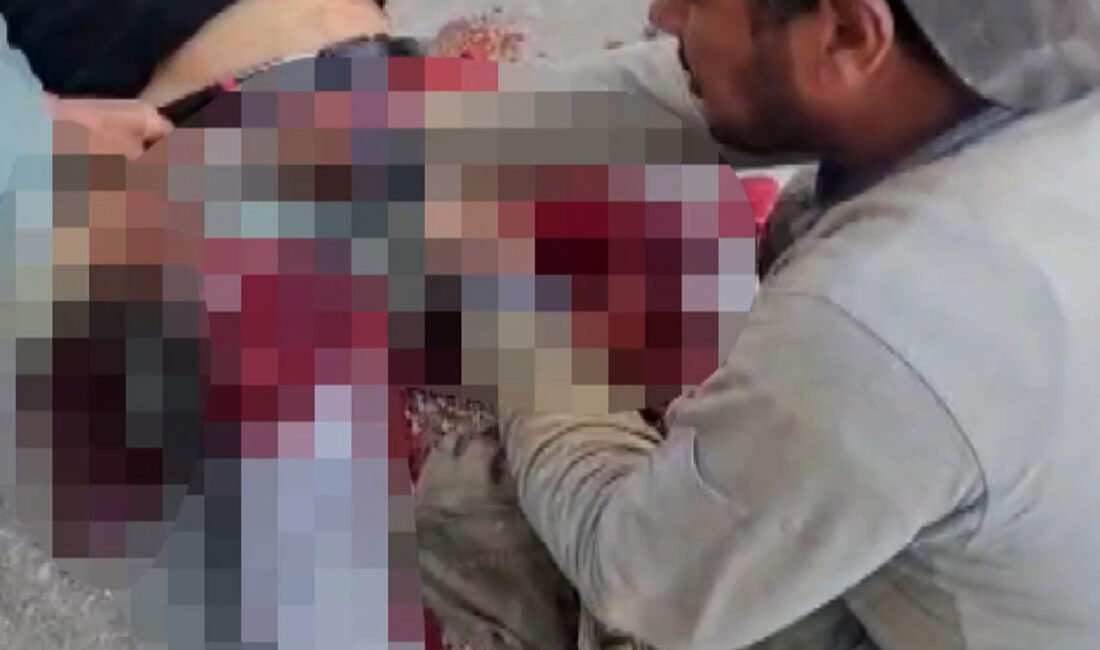 İrem BAŞDAŞ/ANTALYA, (DHA)- ANTALYA’nın Kepez ilçesinde borç anlaşmazlığı yaşadığı İlyas