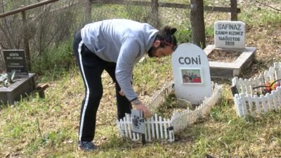 Mehmet İNAN/BURSA, (DHA)-BURSA'da bin 500 kedi, köpek, kuş ve egzotik
