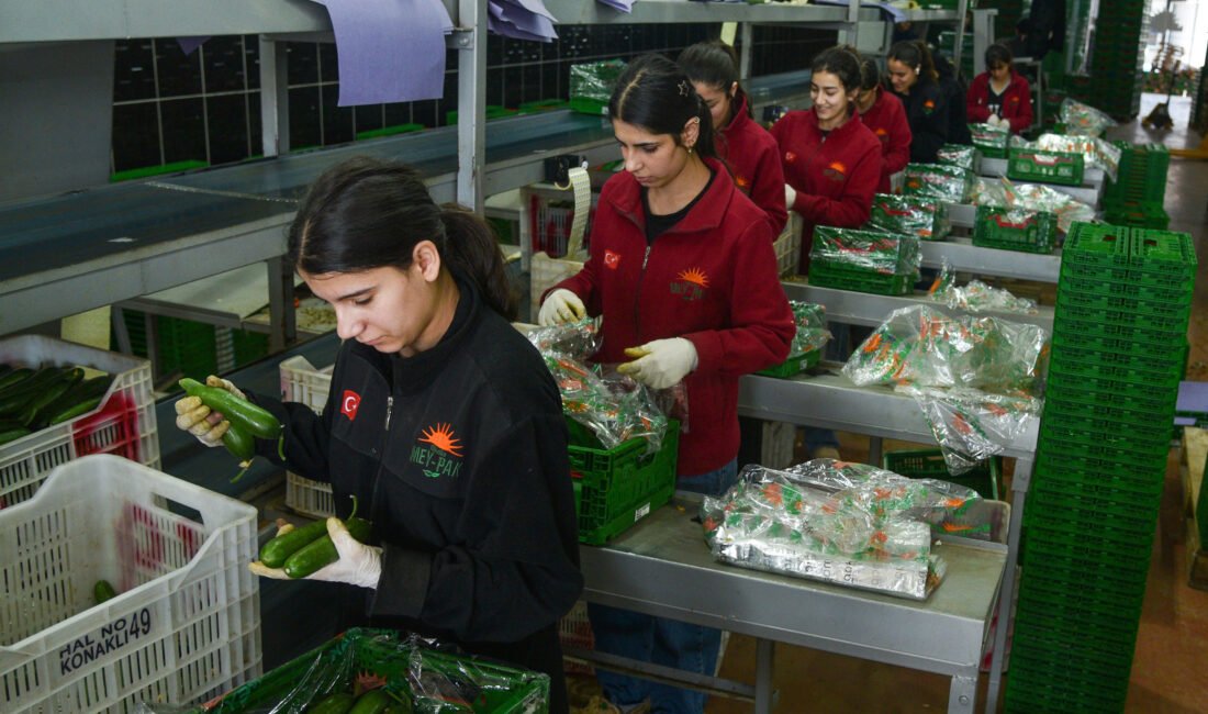 Tolga YILDIRIM/ANTALYA, (DHA)- TÜRKİYE'nin en büyük üretici hali konumundaki Antalya