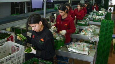 Tolga YILDIRIM/ANTALYA, (DHA)- TÜRKİYE'nin en büyük üretici hali konumundaki Antalya