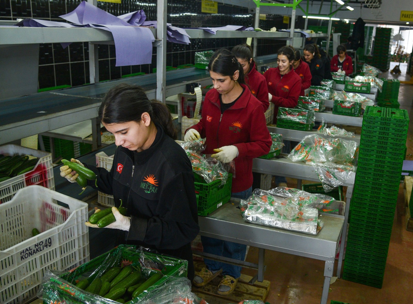 Tolga YILDIRIM/ANTALYA, (DHA)- TÜRKİYE'nin en büyük üretici hali konumundaki Antalya