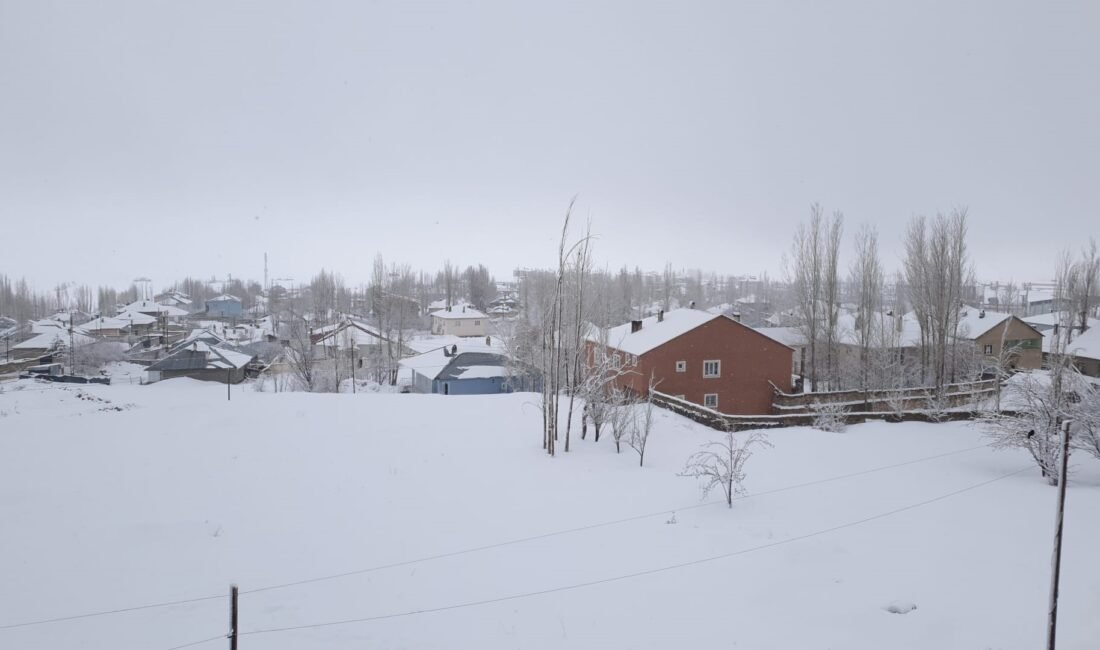 Harun AKSU/BAŞKALE,(Van)-(DHA)-VAN'ın 4 ilçesinde etkili olan kar yağışı nedeniyle 34