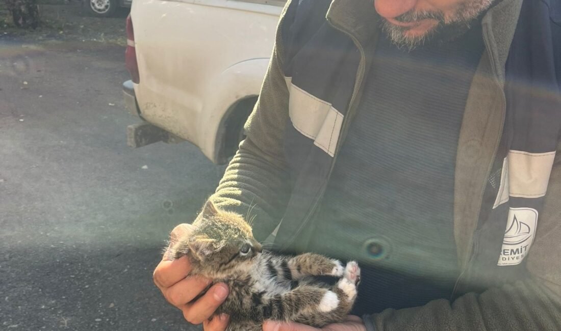 Gülay KUYUCU/VAN, (DHA)- VAN’ın Edremit ilçesinde bir binanın çatısında mahsur