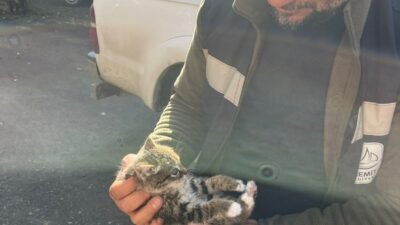 Gülay KUYUCU/VAN, (DHA)- VAN’ın Edremit ilçesinde bir binanın çatısında mahsur