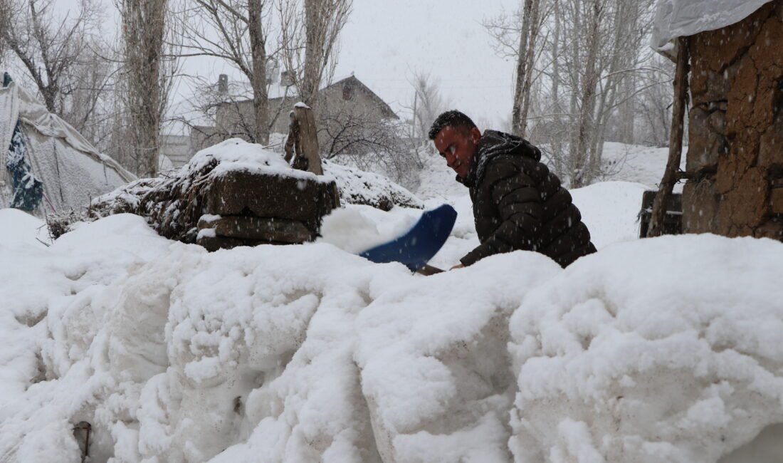 Behçet DALMAZ/VAN, (DHA)- VAN’da mart ayının son günlerinde etkili olan