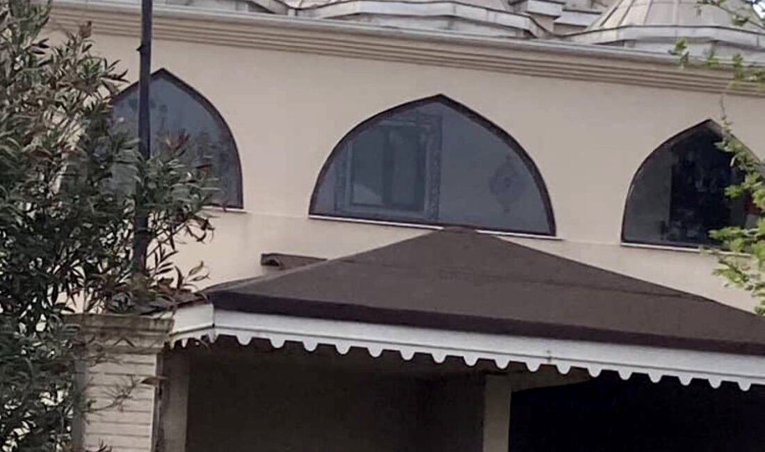 Mehmet ÇINAR/ANTALYA, (DHA)- ANTALYA'nın Serik ilçesinde cami kubbesindeki leylek yuvasının