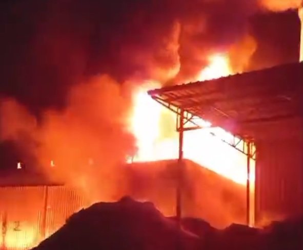 Serhat YILMAZ/AKYAZI, (Sakarya), (DHA)- SAKARYA'nın Akyazı ilçesinde, orman ürünleri entegre