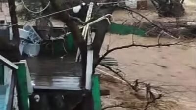 Zehra BAYKAL/YALOVA, (DHA)- YALOVA’nın Çınarcık ve Armutlu ilçelerinde etkili olan