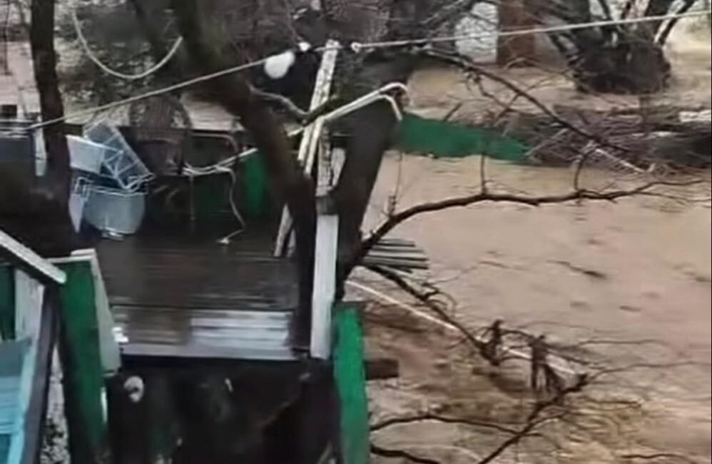 Zehra BAYKAL/YALOVA, (DHA)- YALOVA’nın Çınarcık ve Armutlu ilçelerinde etkili olan