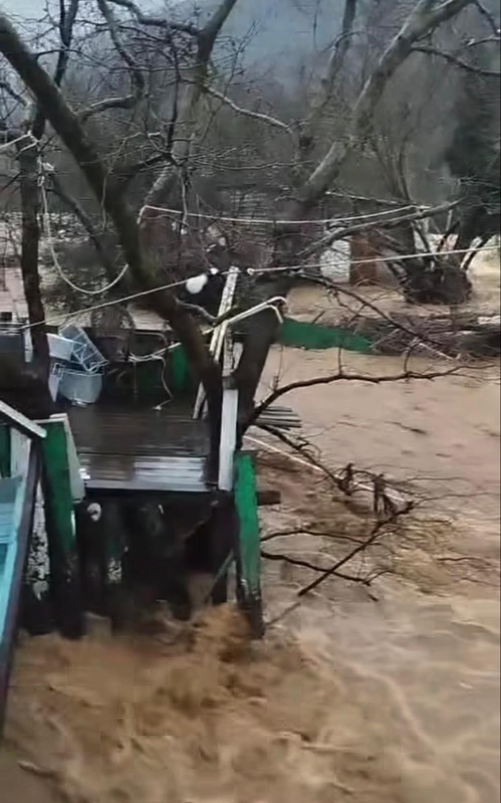 Zehra BAYKAL/YALOVA, (DHA)- YALOVA’nın Çınarcık ve Armutlu ilçelerinde etkili olan