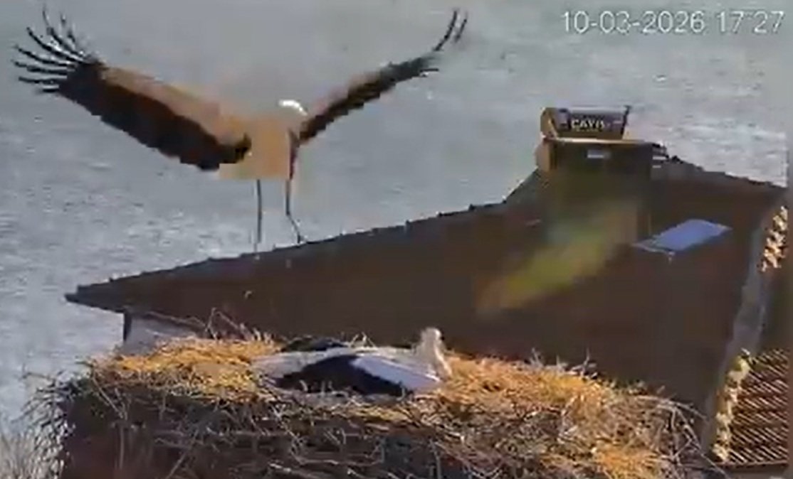 Memet Can YEŞİLBAŞ/ BURSA, (DHA)- BURSA'da yaşayan balıkçı Adem Yılmaz