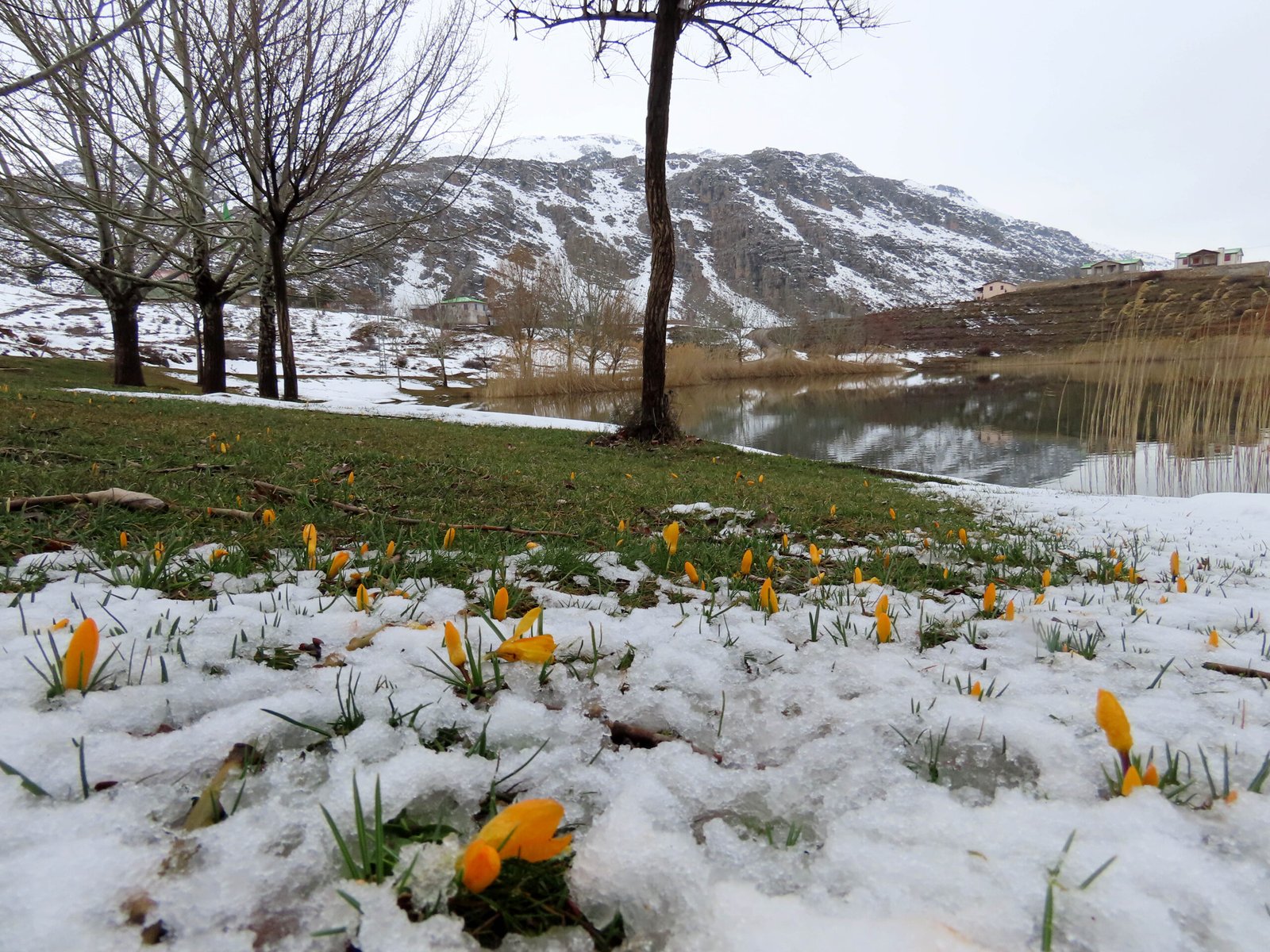 Mehmet ÇINAR/ANTALYA, (DHA)-TOROS Dağları'nın Antalya-Konya sınırındaki zirve yaylalarında karlar erimeye