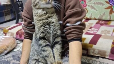 Aydın AKALIN/HARMANCIK (Bursa), (DHA)- BURSA’nın Harmancık ilçesinde Ahmet Aslan (60)