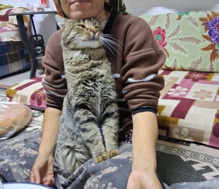 Aydın AKALIN/HARMANCIK (Bursa), (DHA)- BURSA’nın Harmancık ilçesinde Ahmet Aslan (60)