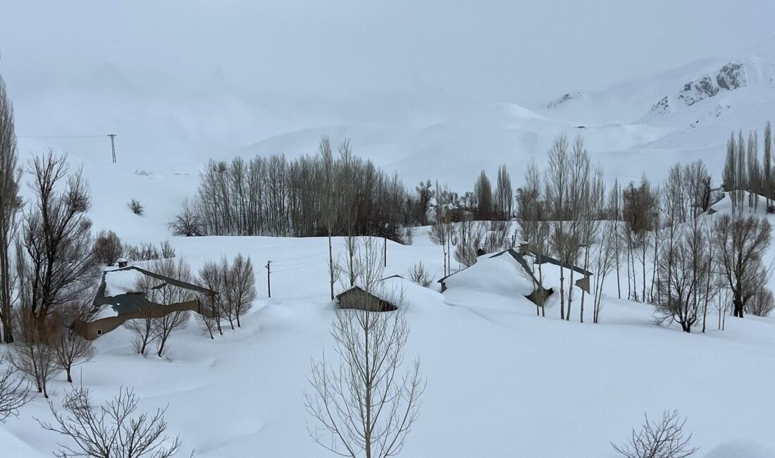 Yaşar KAPLAN/YÜKSEKOVA(Hakkari), (DHA)-HAKKARİ'nin Yüksekova ilçesine bağlı Yeniışık köyünde kar kalınlığı