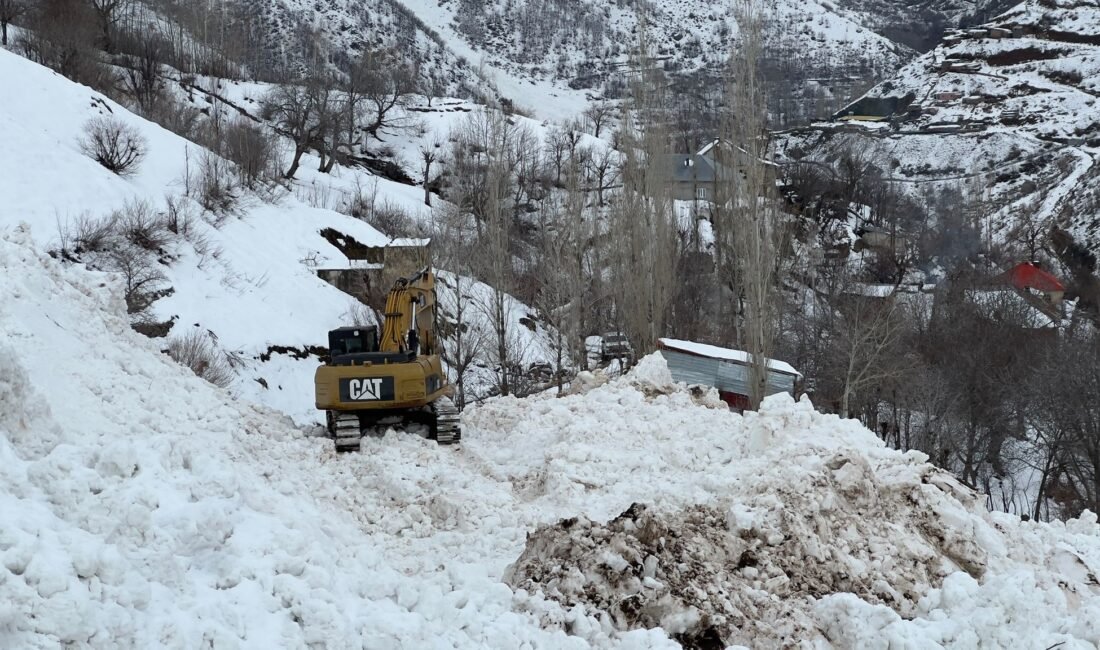 Yüksekova’da köye düşen çığ korkuya neden oldu Yaşar KAPLAN/YÜKSEKOVA, (Hakkari), (DHA)- HAKKARİ'nin Yüksekova ilçesine bağlı Yeşiltaş köyüne