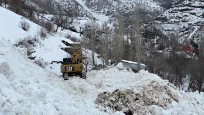 Yaşar KAPLAN/YÜKSEKOVA, (Hakkari), (DHA)- HAKKARİ'nin Yüksekova ilçesine bağlı Yeşiltaş köyüne