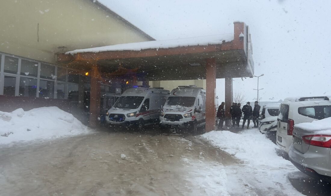 Yaşar KAPLAN/YÜKSEKOVA (Hakkari), (DHA)- HAKKARİ'nin Yüksekova ilçesinde otomobil ile kamyonetin