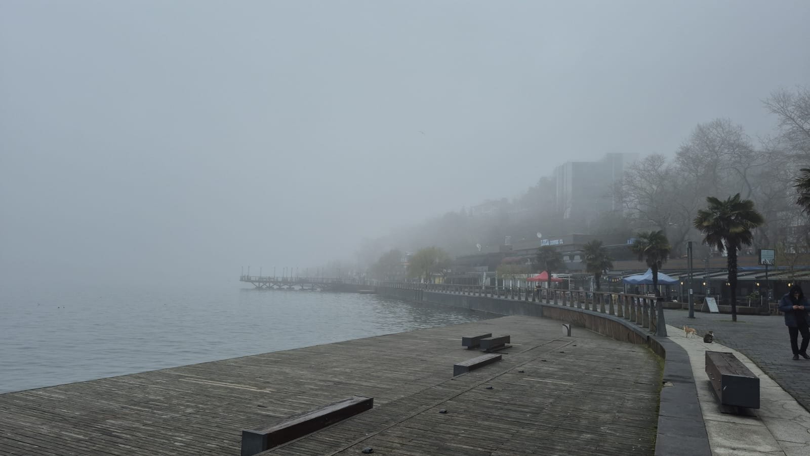 Ali Sencer ARSLAN-Öznur GÜNEŞ/ZONGULDAK, (DHA)- ZONGULDAK’ta 5 gün önce başlayan
