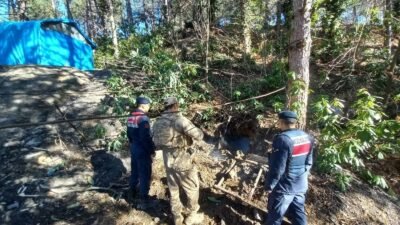 Ali Sencer ARSLAN/ZONGULDAK, (DHA)- ZONGULDAK'ta kaçak olduğu tespit edilen 6
