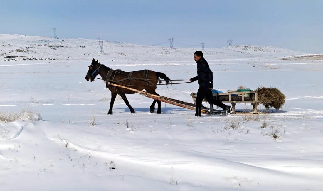 Salih TEKİN/ERZURUM, (DHA)- TÜRKİYE’de kışın en sert geçtiği illerden Erzurum’da