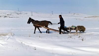 Salih TEKİN/ERZURUM, (DHA)- TÜRKİYE’de kışın en sert geçtiği illerden Erzurum’da