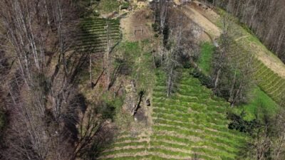 Mehmet Can PEÇE/RİZE, (DHA)-RİZE'de Kaptanpaşa köyünde yaşayan Makbule Bozkurt (82),