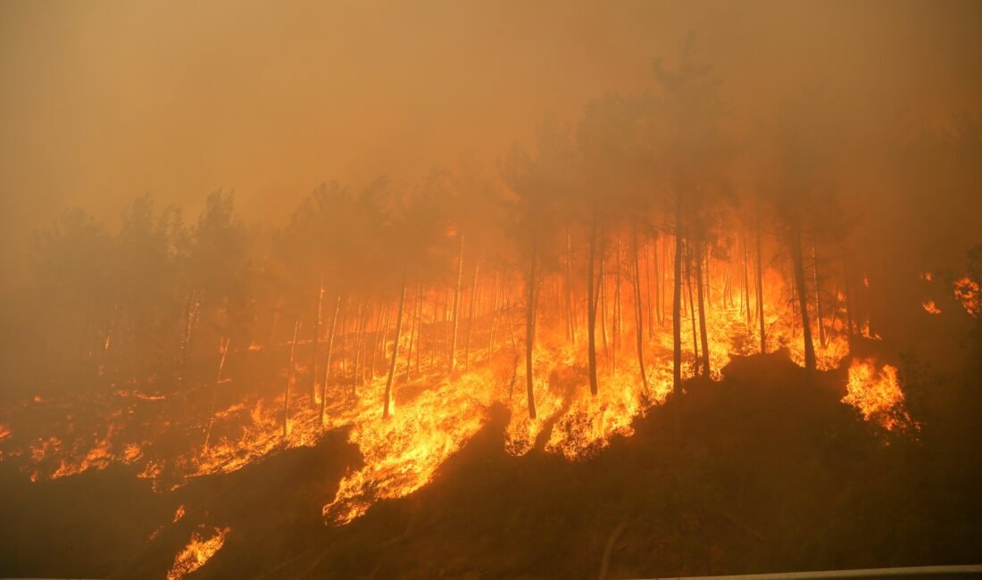 Tolga YILDIRIM/ANTALYA, (DHA)- TÜRKİYE'de geçen yıl çıkan 3 bin 224