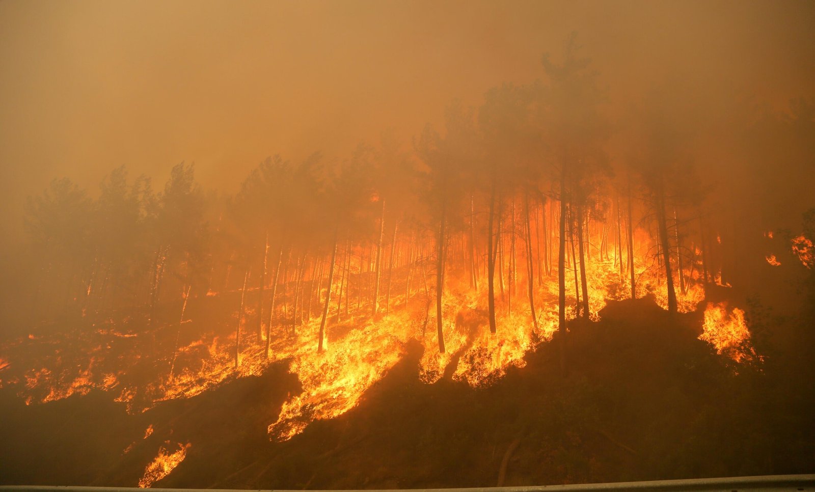 Tolga YILDIRIM/ANTALYA, (DHA)- TÜRKİYE'de geçen yıl çıkan 3 bin 224
