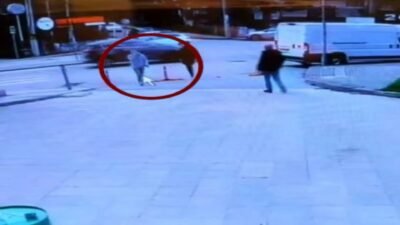 Mehmet İNAN/BURSA, (DHA)- BURSA’da iki ayrı daireye girerek toplamda 500