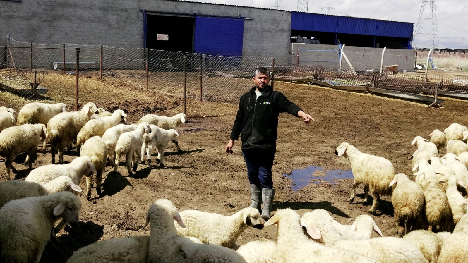 Metin DEĞİRMENCİ/YEŞİLHİSAR (Kayseri), (DHA)- KAYSERİ'nin Yeşilhisar ilçesinde besicilik yapan 3