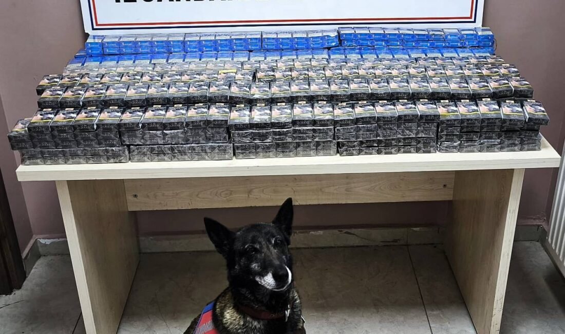 (RHA)- Kayseri’nin Pınarbaşı ilçesinde yol kontrolü yapan jandarma, 2 TIR’da