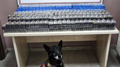 (RHA)- Kayseri’nin Pınarbaşı ilçesinde yol kontrolü yapan jandarma, 2 TIR’da