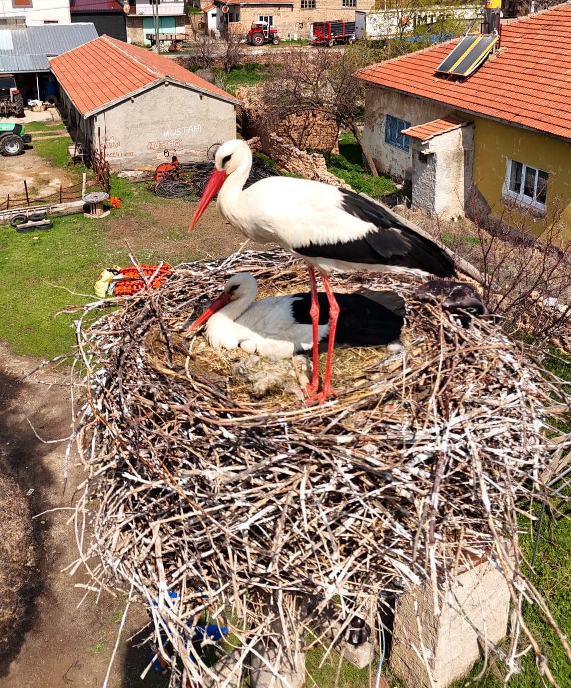 (RHA) – Kayseri’nin Sarıoğlan ilçesine bağlı Palas Mahallesi’nde baharın gelişiyle