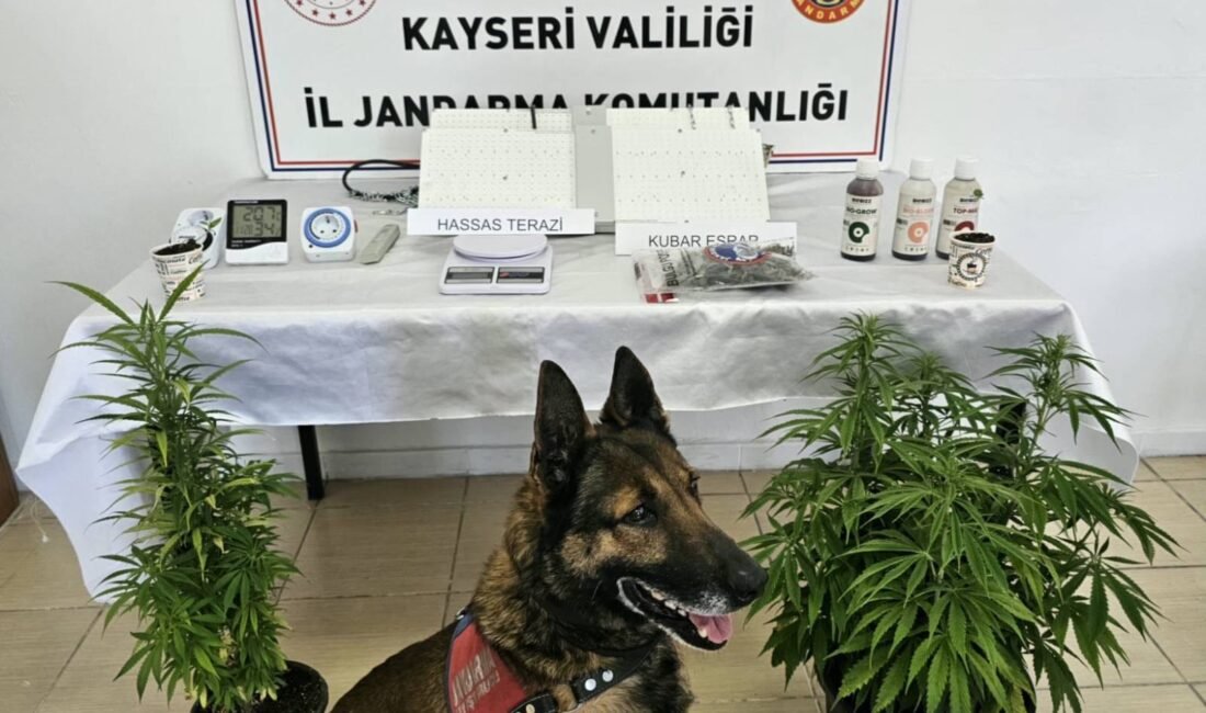 Kayseri’de 1 kişiye uyuşturucu gözaltısı (RHA)- Kayseri’de, uyuşturucu ticareti yaptığı belirlenen 1 kişi, jandarma ekiplerince