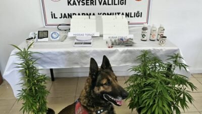 (RHA)- Kayseri’de, uyuşturucu ticareti yaptığı belirlenen 1 kişi, jandarma ekiplerince