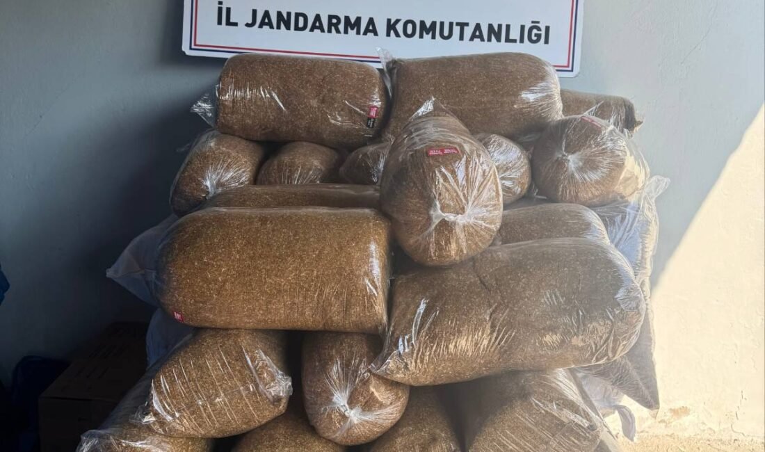 (RHA)- Kayseri’nin Pınarbaşı ilçesinde jandarma ekiplerince yapılan yol kontrolünde 350