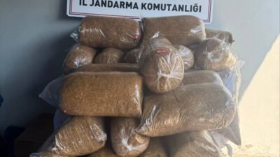 (RHA)- Kayseri’nin Pınarbaşı ilçesinde jandarma ekiplerince yapılan yol kontrolünde 350