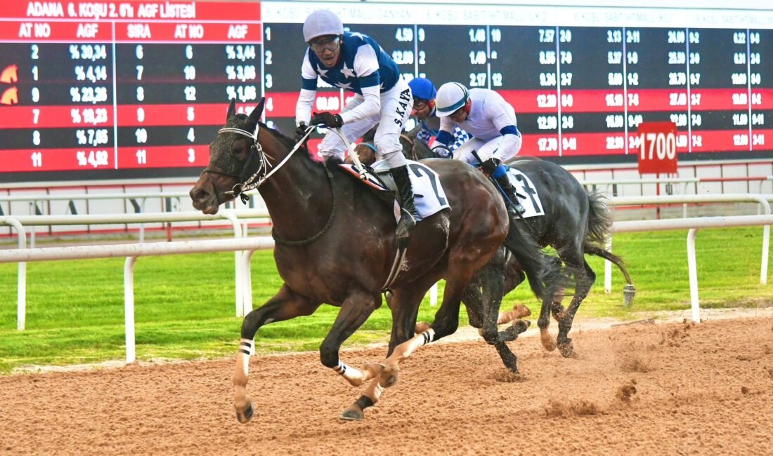 Yusuf YILDIZ - Eser PAZARBAŞI / ADANA, (DHA) - ADANA