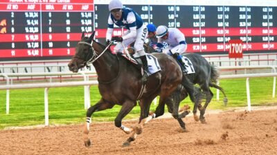 Yusuf YILDIZ - Eser PAZARBAŞI / ADANA, (DHA) - ADANA