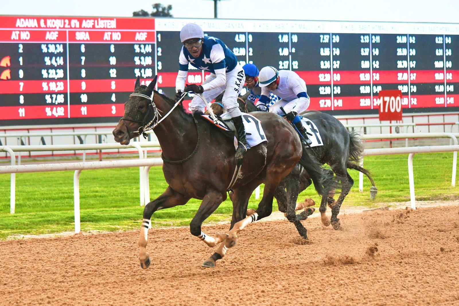 Yusuf YILDIZ - Eser PAZARBAŞI / ADANA, (DHA) - ADANA