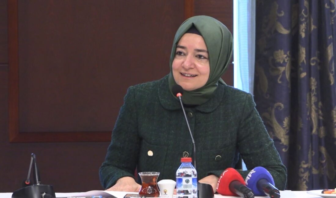 Nisa MİĞAL-Canberk ÖZTÜRK/ANKARA, (DHA)- AK Parti Genel Başkan Yardımcısı Fatma